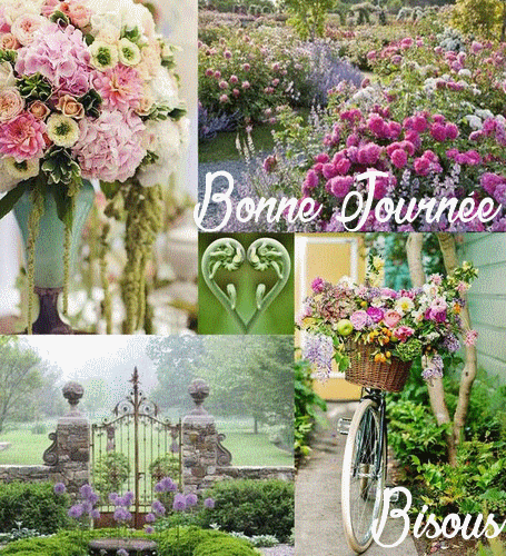 De petits boutons à sur la tête du membre